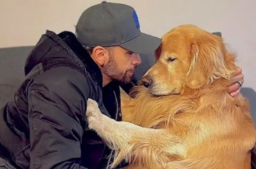Gol admite falha em transporte de cachorro que morreu após ir para estado errado