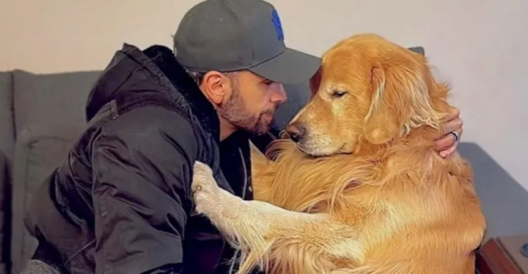 Gol admite falha em transporte de cachorro que morreu após ir para estado errado
