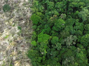 Desmatamento na Amazônia tem queda de 21,8% e no Pantanal, de 9,2%
