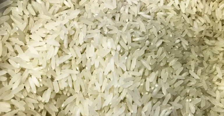 Conab compra 263,3 mil toneladas de arroz importado em leilão