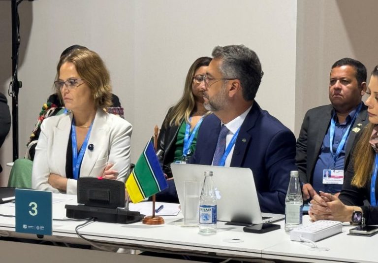 Na COP29, governador do Amapá trata de parceria com governo francês