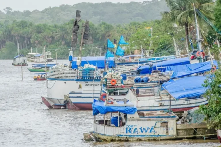 Governo do Amapá realiza 1º Encontro da Pesca Artesanal e Aquicultura, em Macapá